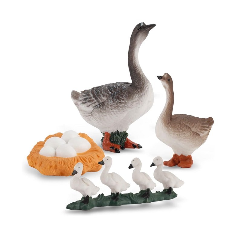 161112 Εκπαιδευτικό σετ Πάπιες - Life Cycle - 161112