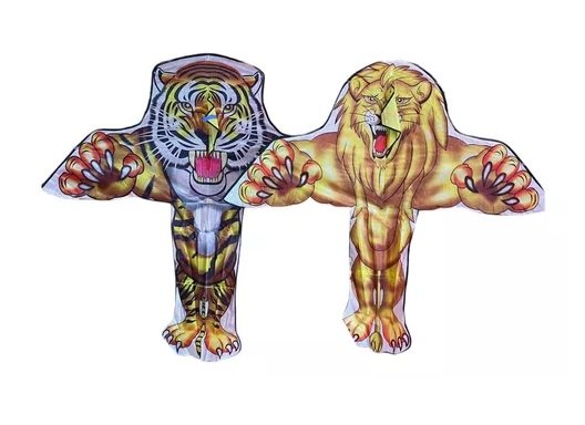 Χαρταετός με σχέδιο - 1.5m - 981249