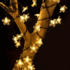 152899 Ηλιακή γιρλάντα φωτισμού LED - Λουλούδι - 5m+1m - 20D - 152899 - Warm White