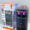 Φορητό ηχείο subwoofer με μικρόφωνο Karaoke - QS-6816 - 260455